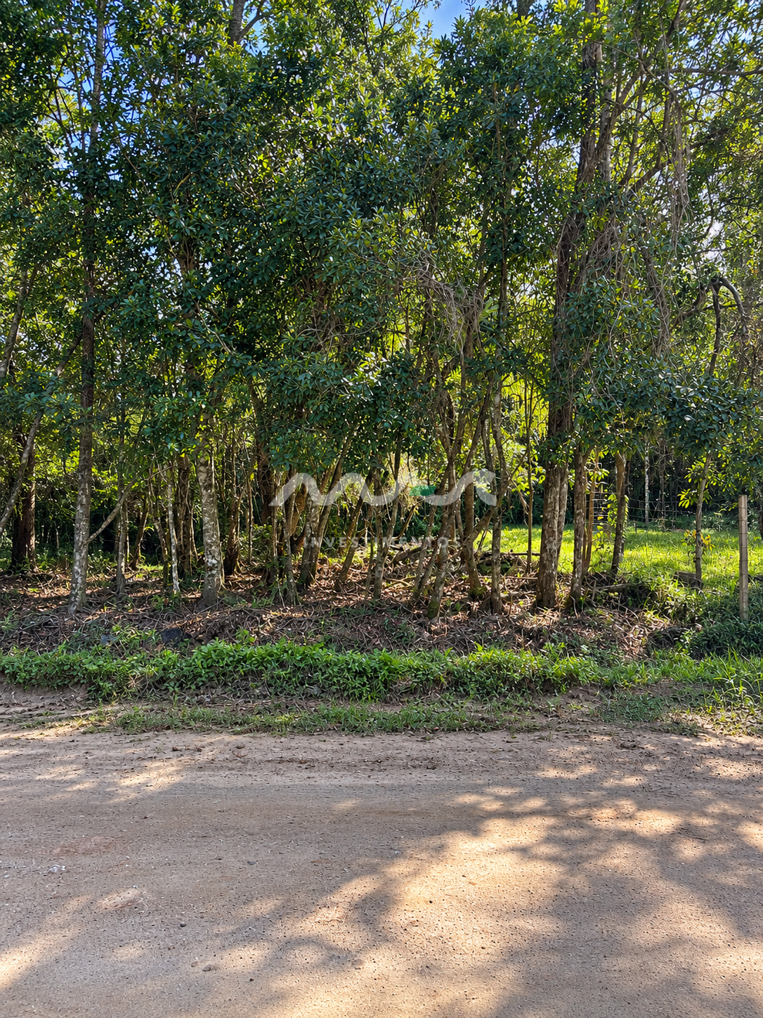 TERRENO À VENDA | MARISCAL – BOMBINHAS/SC